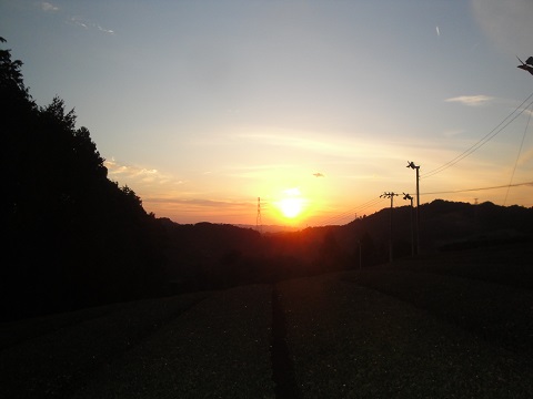 DSC02942.jpg