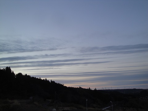 DSC02969.jpg