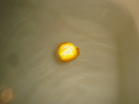 DSC02975.jpg