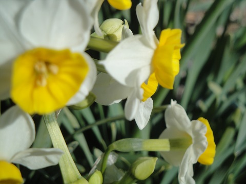DSC02984.jpg
