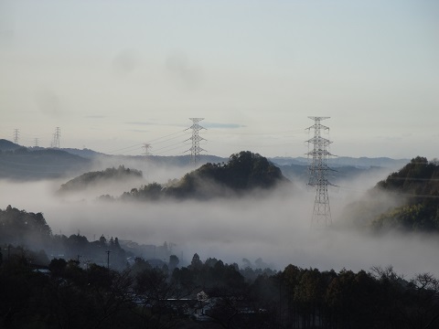 DSC03018.jpg