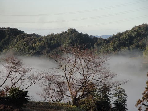 DSC03019.jpg