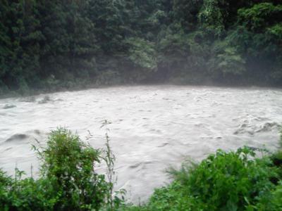 NEC_0007.jpg