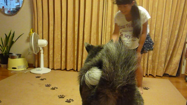 P1000509 (640x360)