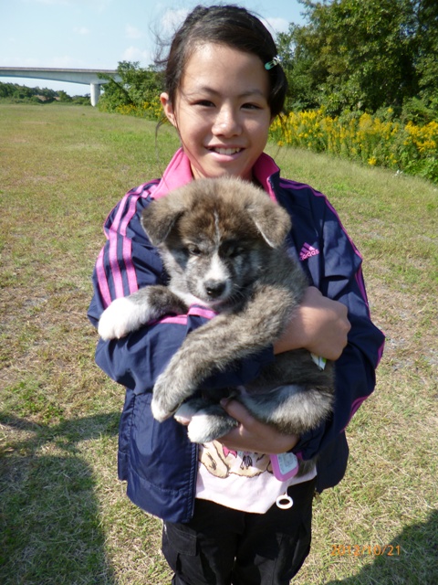 結うなと仔犬6