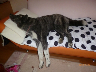 P1010444.jpg