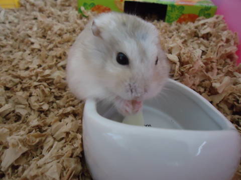 DSC07892.jpg