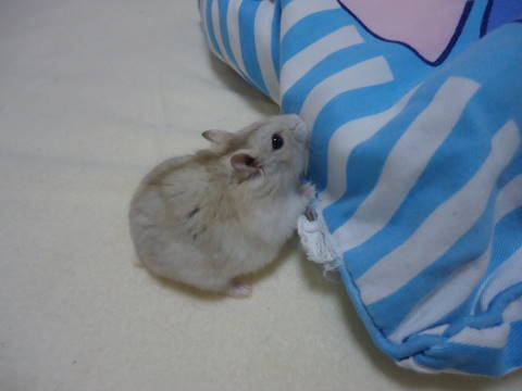 DSC09495.jpg
