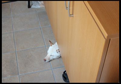 20120808 (1)