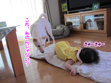 20120927 (4)