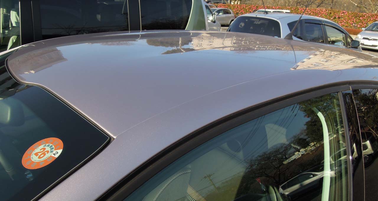 13042901roof.jpg