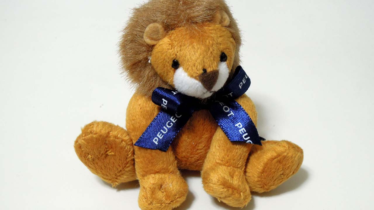 Lion01.jpg