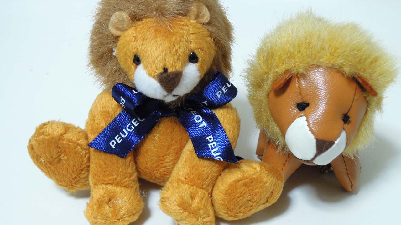 Lion02.jpg