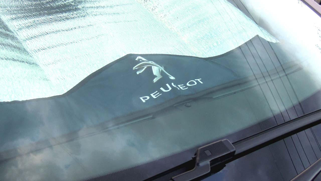 sunbisor01.jpg