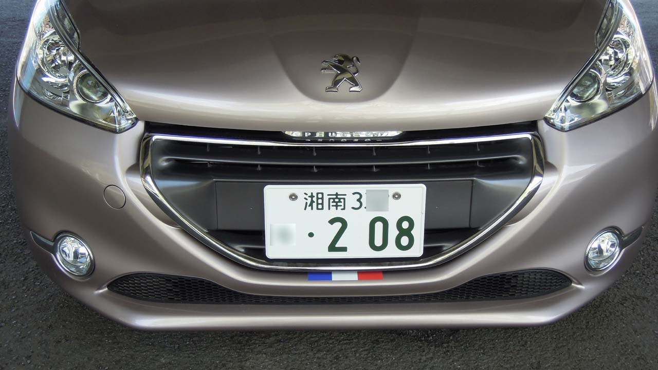 tricolor02.jpg