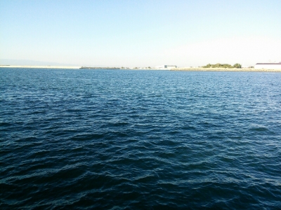 2014102008110897d.jpg
