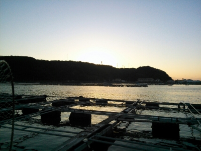 201411161158407d7.jpg