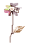 blog_import_50907a410910a.jpeg