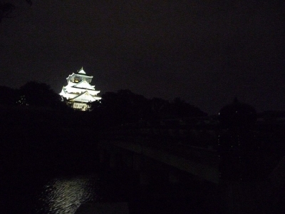 P1100325.jpg