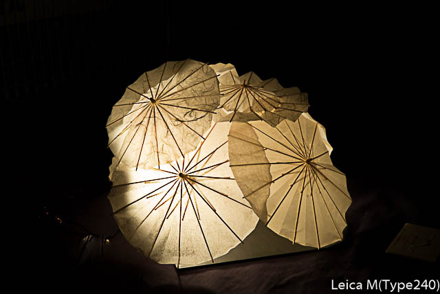 lightroomresize-1000122.jpg