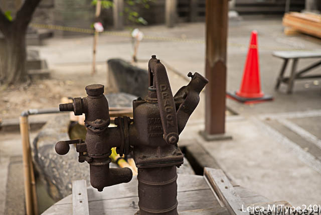 lightroomresize-1000134.jpg