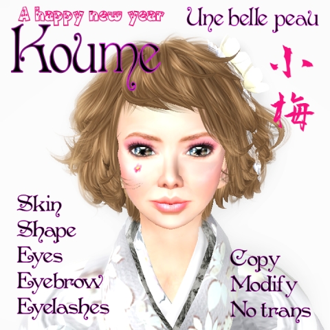 Koume_panel480.jpg