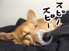layton20140206.png