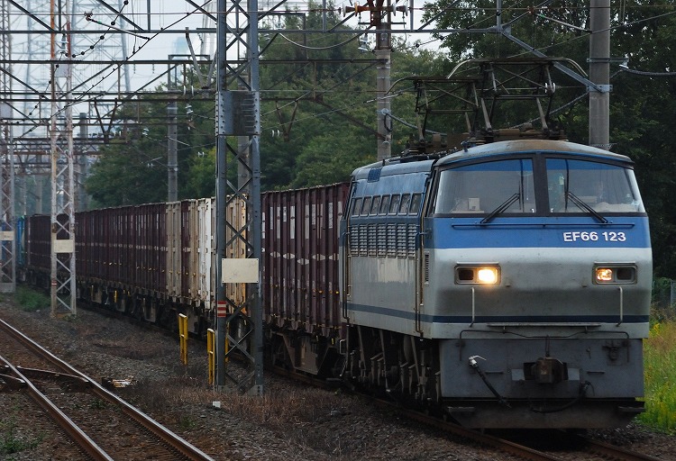 DSC_4845.jpg