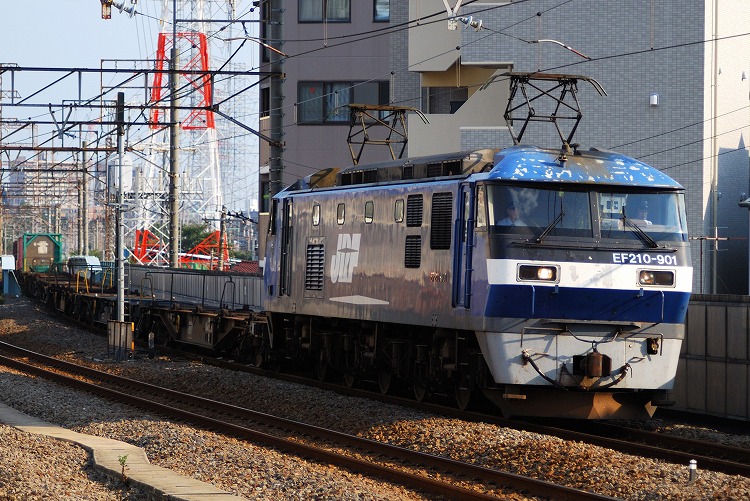 DSC_5022.jpg