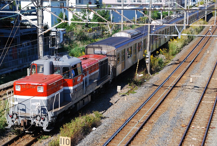 DSC_5058_1.jpg