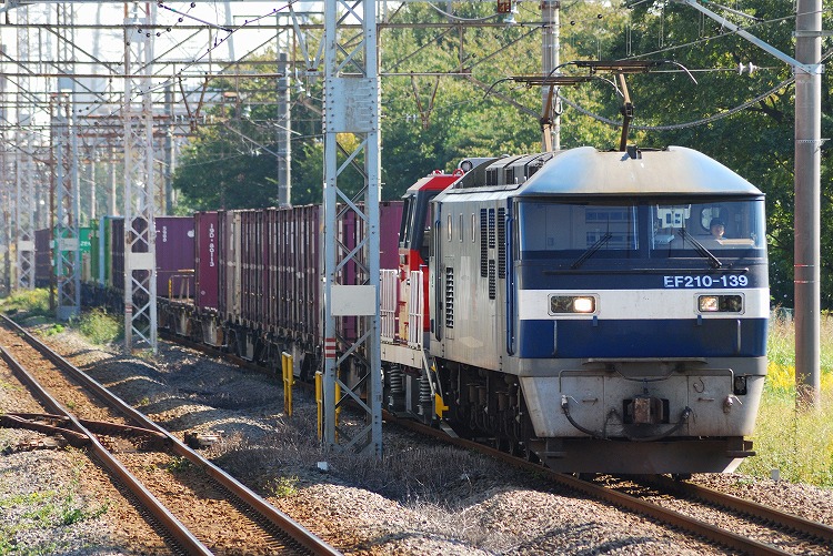 DSC_5069.jpg