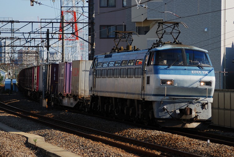 DSC_5125.jpg
