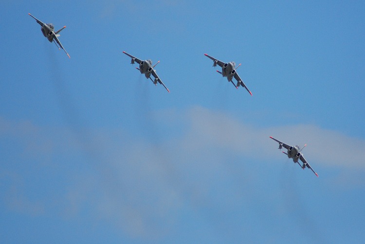 DSC_5452.jpg