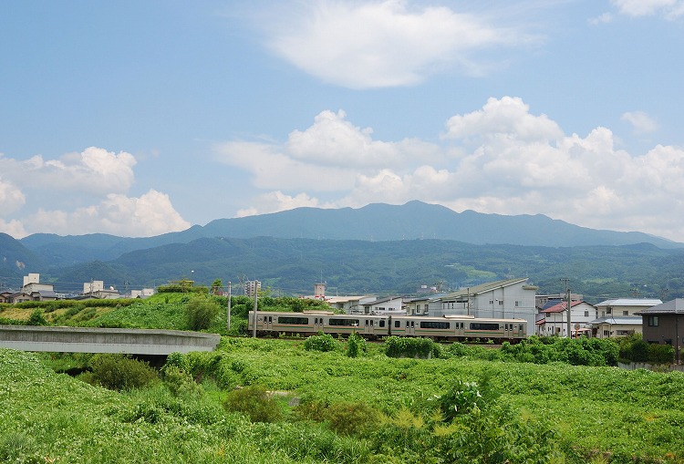 DSC_8713.jpg