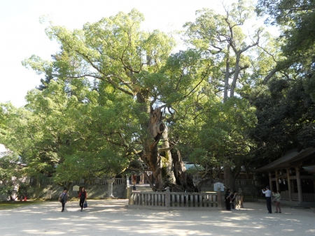 DSCN2283.jpg