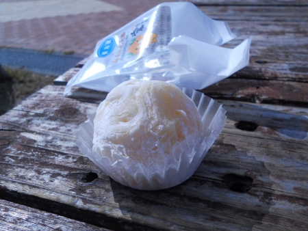 DSCN2392.jpg