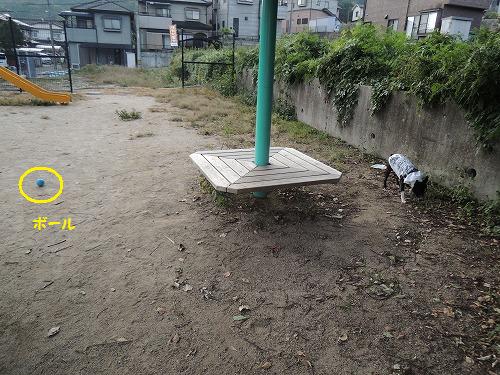 DSCN3070.jpg