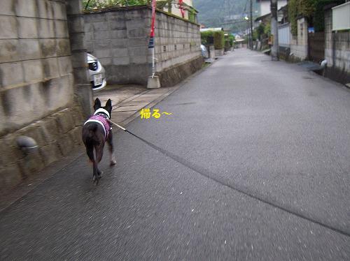 DSCN3451_20120907115626.jpg