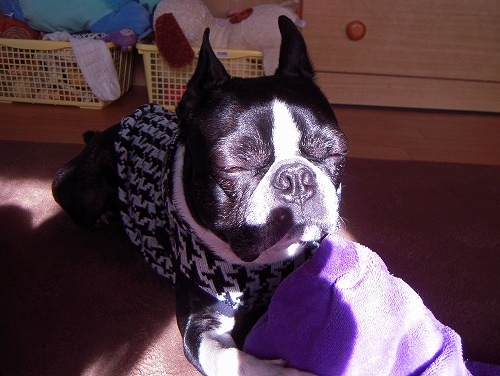 DSCN4628.jpg