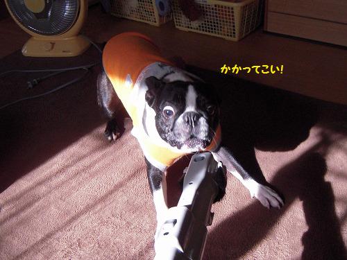 DSCN4990.jpg