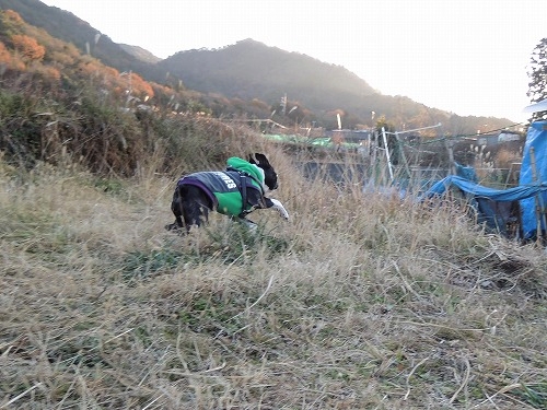 DSCN5543.jpg
