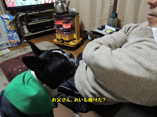 DSCN5590.jpg
