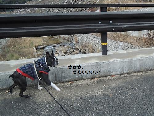 DSCN6075.jpg