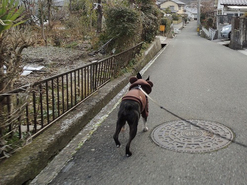 DSCN6112.jpg