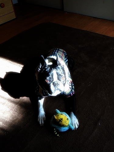 DSCN6226.jpg
