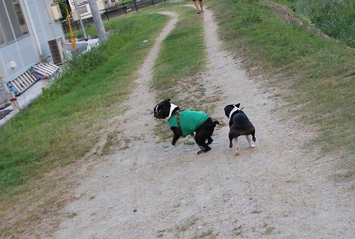 IMG_1677.jpg