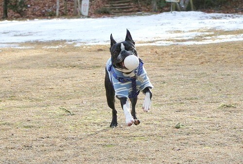 IMG_3400_20121211215554.jpg