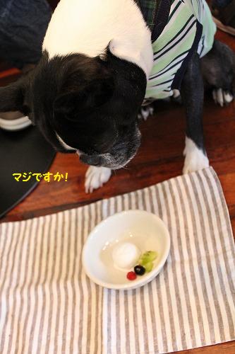IMG_9034_20120801222253.jpg