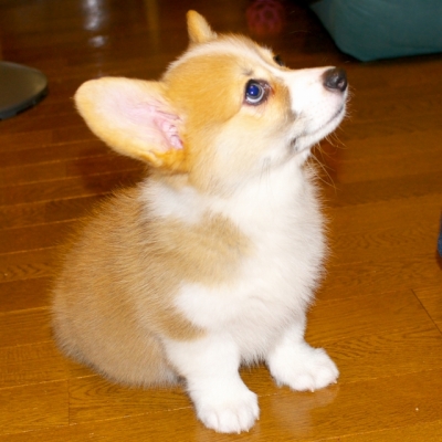 KUM_7074.jpg