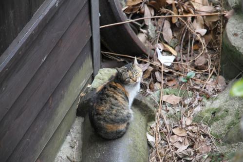 20130217_071.jpg